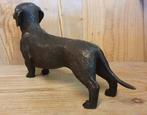 Bronzen beeld / TECKEL / 35 cm lang / tekkel / reu, Ophalen of Verzenden, Hond of Kat, Beeldje of Figuurtje