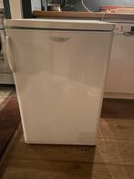 Mini Koelkast, Ophalen, 45 tot 60 cm, Zonder vriesvak, Gebruikt