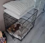 Honden bench, Dieren en Toebehoren, Ophalen