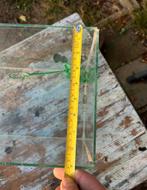 Aguarium, Dieren en Toebehoren, Ophalen of Verzenden