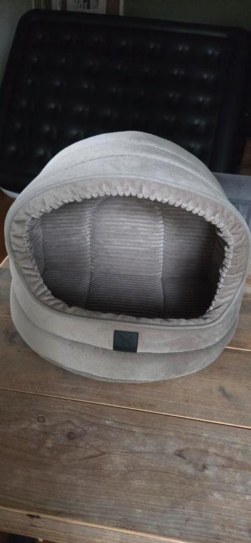 Martin Kattenmand beschikbaar voor biedingen