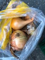 Uien per 5 kilo, Ophalen of Verzenden