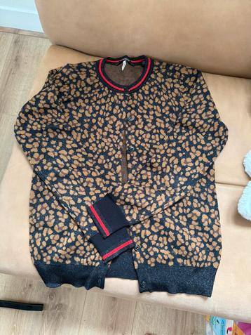 Scotch&soda cardigans beschikbaar voor biedingen