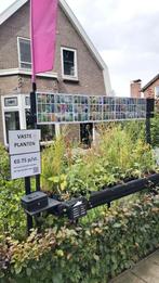 Vaste plantjes voor in de tuin, Ophalen, Lente