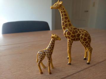 Playmobil Giraf met jong - 6640 (beschadigd) beschikbaar voor biedingen