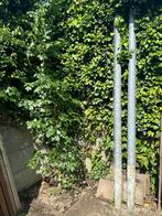 Palen voor afrastering of afhangen van een poort., Tuin en Terras, Ophalen, Zo goed als nieuw, 250 cm of meer, Palen