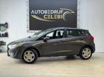 Ford Fiesta 1.1 Trend 2018 GRIJS CARPLAY|CRUISE|NAVI|PKRSENS, 23 km/l, Origineel Nederlands, Bedrijf, 39 €/maand