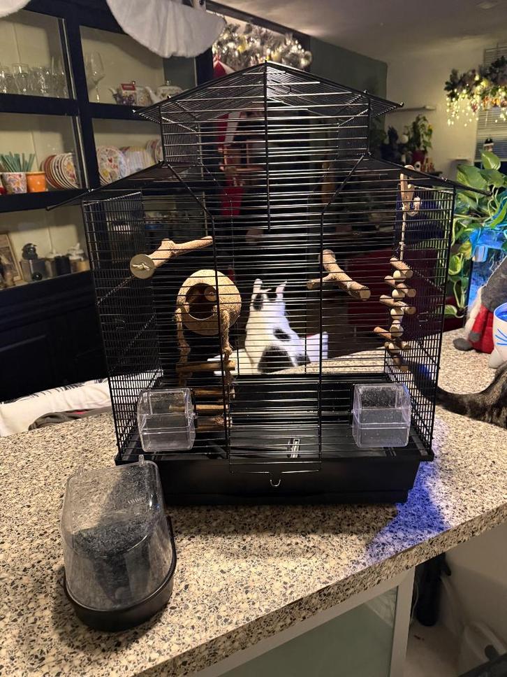 Kanariekooi te koop, Dieren en Toebehoren, Vogels | Hokken en Kooien, Zo goed als nieuw, Vogelkooi, Metaal, Ophalen