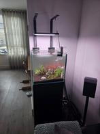 Mooi onderhouden aquarium met meubel, Dieren en Toebehoren, Vissen | Aquaria en Toebehoren, Ophalen, Zo goed als nieuw, Gevuld zoetwateraquarium