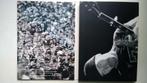 U2 - U2 Go Home Live From Slane Castle Ireland (DVD), Alle leeftijden, Ophalen of Verzenden, Zo goed als nieuw, Muziek en Concerten