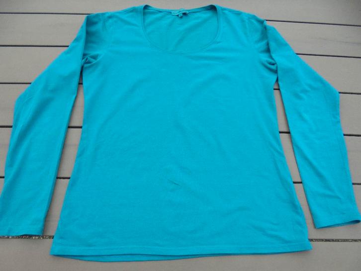 Groen shirt ANNA ROLFI, Kleding | Dames, T-shirts, Gedragen, Maat 42/44 (L), Groen, Lange mouw, Ophalen of Verzenden