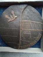 Grote penning NS Hembrug 1917 Hemtunnel 1983 originele doos, Verzenden, Gebruikt, Trein, Overige typen