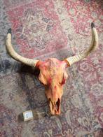 Decoratieve buffel skull Nieuw, Huis en Inrichting, Nieuw, Ophalen