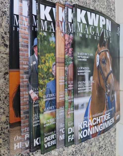 Paardenmagazines / Paardenbladen 7 stuks, Verzamelen, Tijdschriften, Kranten en Knipsels, Tijdschrift, Nederland, 1980 tot heden