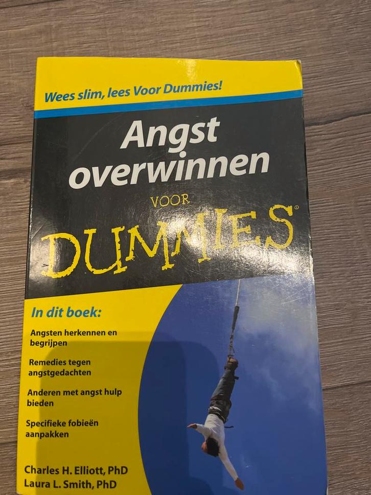 Angst Overwinnen voor Dummies - Psychologie, Boeken, Psychologie, Zo goed als nieuw, Klinische psychologie, Ophalen of Verzenden