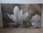 Ikea Canvas Doek - Magnolia, Ophalen, 100 tot 125 cm, 75 cm of meer, Print
