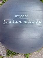 Stanno Fitnessbal - Gebruikt, Ophalen of Verzenden, Gebruikt, Benen, Fitnessbal