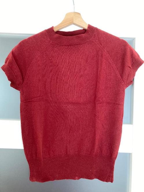 Materiel truitje met korte mouwen, steenrood, maat S, Kleding | Dames, Truien en Vesten, Zo goed als nieuw, Maat 36 (S), Rood
