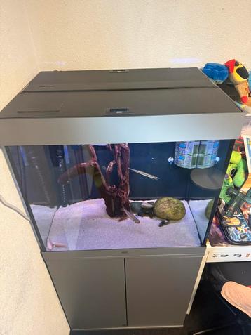 Aquarium juwel lido 200 zgan oase biomasster 600 beschikbaar voor biedingen