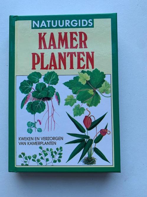 Natuurgids Kamerplanten Rose Henry, Boeken, Wonen en Tuinieren, Zo goed als nieuw, Kamerplanten, Ophalen of Verzenden