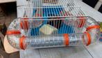 Hamsterkooi met toebehoren, Kooi, Minder dan 75 cm, Zo goed als nieuw, Hamster
