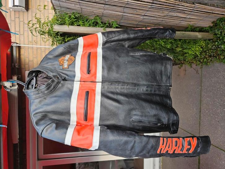 lederen jack harley davidson, Kleding | Heren, Overige Herenkleding, Gedragen, Ophalen of Verzenden