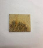 Dendriet fossiel (3), Ophalen of Verzenden, Fossiel