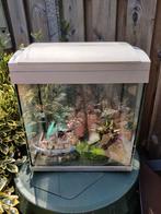 Superfish aquarium, Ophalen, Gebruikt, Leeg aquarium
