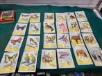 kwartet dieren papita 882, Hobby en Vrije tijd, Gezelschapsspellen | Overige, Ophalen of Verzenden, 'T Olde Gre-j, Info@toldegrej.nl