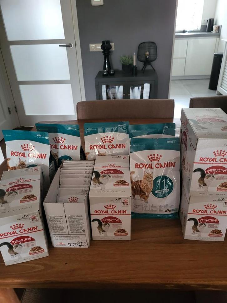 Royal Canin kattenvoer, Dieren en Toebehoren, Dierenvoeding, Kat, Ophalen