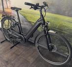 Pegasus Premio EVO 10 Lite BOSCH CX – Electrische Damesfiets, Overige merken, Ophalen of Verzenden, Zo goed als nieuw, 51 tot 55 cm