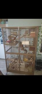 Ruime ratten/fret/chinchilla kooi, minimale gebruikssporen!, Ophalen, Kooi, Zo goed als nieuw, Rat