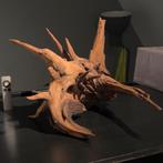 Uniek stuk Kienhout / Driftwood / Spiderwood, Hout Decoratie, Dieren en Toebehoren, Vissen | Aquaria en Toebehoren, Ophalen of Verzenden