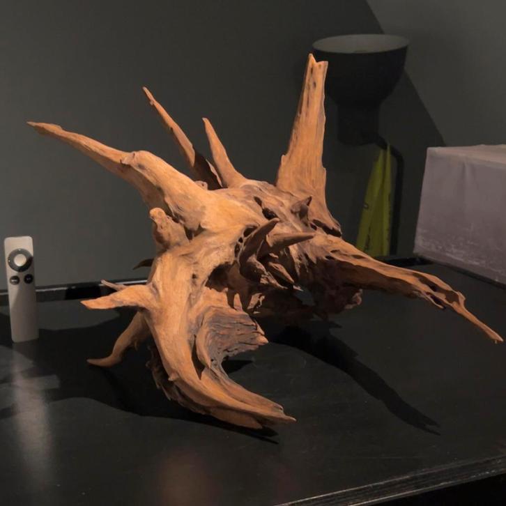 Uniek stuk Kienhout / Driftwood / Spiderwood, Hout Decoratie, Dieren en Toebehoren, Vissen | Aquaria en Toebehoren, Zo goed als nieuw