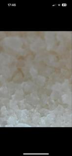 Biologische water korrels kefir, Diversen, Ophalen