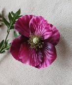 Fraaie klaprozen, 2 stuks, niet van echt te onderscheiden, Ophalen of Verzenden, Gebruikt, Binnen