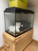 Aquarium 70L, Dieren en Toebehoren, Vissen | Aquaria en Toebehoren, Ophalen, Zo goed als nieuw, Leeg aquarium