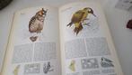 Het beste vogelboek, Ophalen of Verzenden, Gelezen, Vogels