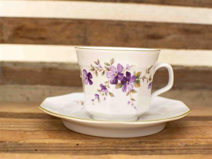 Winterling Bavaria porseleinen kop en schotel 37937, Huis en Inrichting, Keuken | Servies, Gebruikt, Kop(pen) en/of Schotel(s)