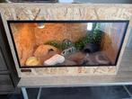 Terrarium osb 60b 40d 40h. Compleet met alle toebehoren., Ophalen, Zo goed als nieuw