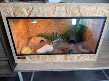 Terrarium osb 60b 40d 40h. Compleet met alle toebehoren. beschikbaar voor biedingen