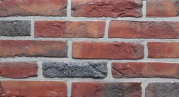 art 4403A handvorm rood nuance gesinterd gevelstenen  beschikbaar voor biedingen