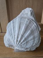 18 miljoen jaar oude fossiel - Pecten Elegans/Coquille Shell, Ophalen of Verzenden, Fossiel