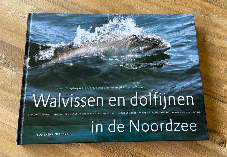Walvissen en Dolfijnen in de Noordzee Kees Camphuyzen, Boeken, Natuur, Zo goed als nieuw, Natuur algemeen, Ophalen of Verzenden