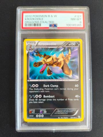 Krookodile Dragon exalted psa 8 black and white secret rare beschikbaar voor biedingen
