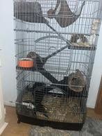 Chinchilla meisjes, Kooi, 110 cm of meer, Ophalen of Verzenden, Zo goed als nieuw