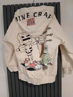 Hoodie minecraft van Reserved, Ophalen of Verzenden, Zo goed als nieuw, Jongen, Trui of Vest