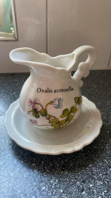 Melkkan koffiemelk in nieuwstaat oxalis acetosella beschikbaar voor biedingen