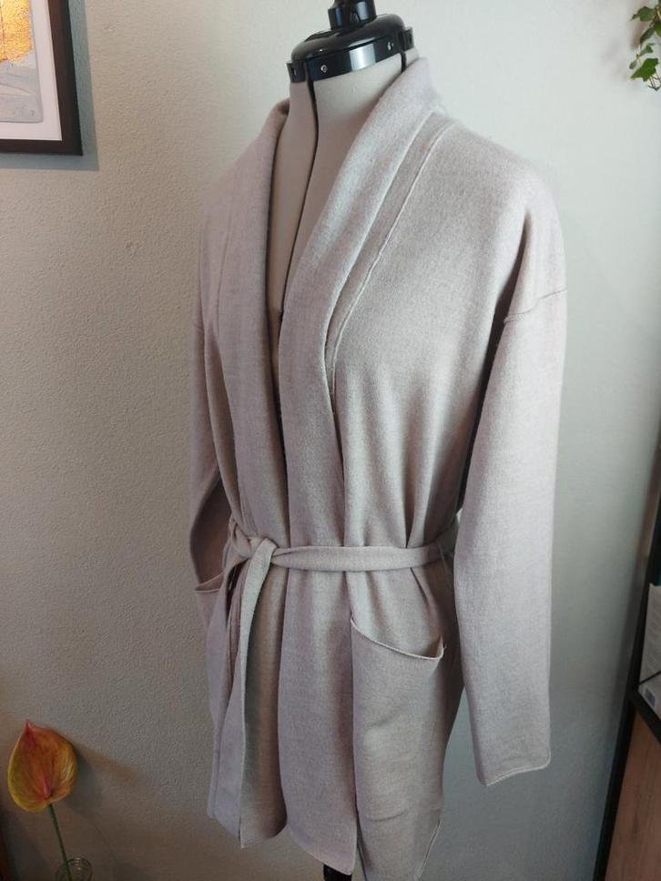 Alpha Studio vest - merino wol - maat 42/44, Kleding | Dames, Truien en Vesten, Zo goed als nieuw, Maat 42/44 (L), Grijs, Ophalen of Verzenden