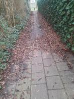 Tuinman